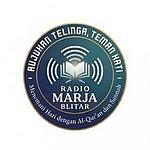 Radio Syifa Blitar logo
