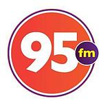 Top 95FM logo