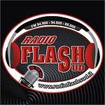Radio Flash Sud logo