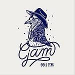 CJAM 99.1 FM logo