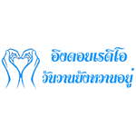 เพลงสตริงเก่า Eingdoi Radio logo