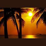 Radio Art - Tropical Chillout logo