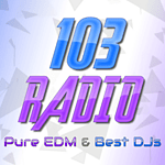 103 Radio logo