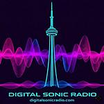 Digital Sonic logo