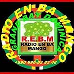 Radio En Ba Mango logo