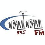 Nyaminyami FM logo
