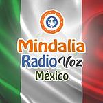 Mindalia Voz México