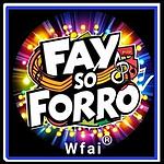 Fay Só Forró