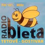 Radio Bleta logo