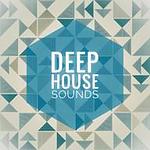 Deep House Sounds logo