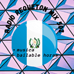 Radio Requeton Mix 502 logo