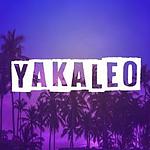 Yakaleo logo