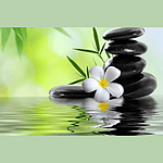 Radio Art - Relaxation & Stress Relief logo