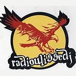 RADIO ULISSE DJ logo