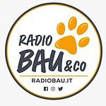 Radio Bau & Co logo