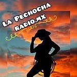 La Pechocha Radio