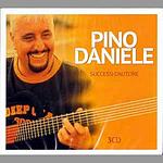 Web Radio Network Pino Daniele logo