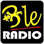 BLE Radio logo