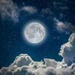 Bluenightshadow logo