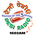 Desi Radio 1602 logo