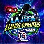 La Jefa Llanos Orientales logo