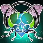Lo Fly Radio logo
