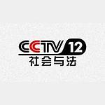 CCTV12电视伴音 logo