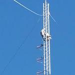 KRNR Goldthwaite 92.7 FM logo