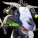 Radio Biquette logo