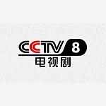 CCTV8电视伴音 logo
