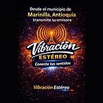 Vibración Estéreo logo