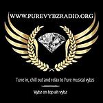 Pure Vybz Radio logo