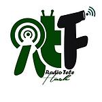 Radio Télé Flash logo