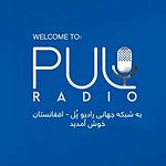 Pul Radio | رادیو پُل logo
