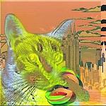 Sammy's NYC Indie-Electro Radio logo