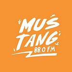 Mustang 88 FM