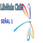 LibelulaChile.cl Señal 1