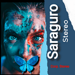 Saraguro Stereo HD logo