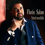 Web Radio Network Florin Salam logo