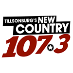 CJDL New Country 107.3 FM logo