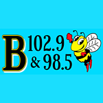 WBOO / WDLS B102.9 & 98.5 logo