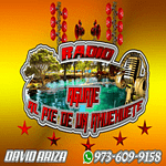 Aguaje Al Pie de un Ahuehuete logo