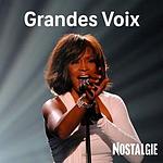 NOSTALGIE GRANDES VOIX logo