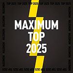 TOP 2025 logo