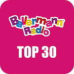 Ballermann Radio - Top 30 logo