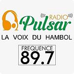 Radio Pulsar CI logo