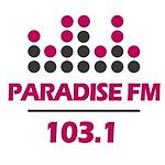 Paradise 80’s & 90’s logo