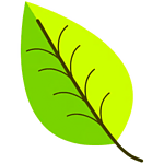 Beechberg Radio logo