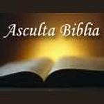 Biblia Audio in Limba Romana logo
