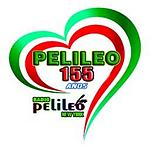 Pelileo Radio TV logo